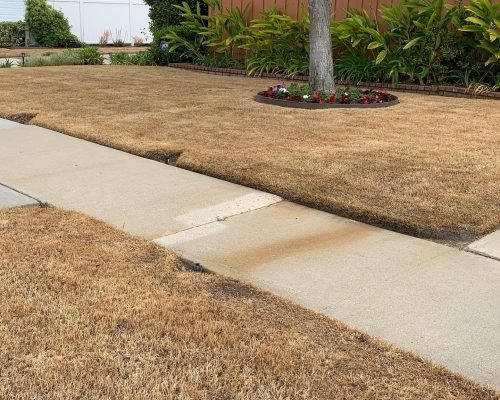 475979516_576643052034814_8405935838889645143_n